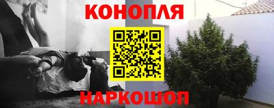 бошки Гусев