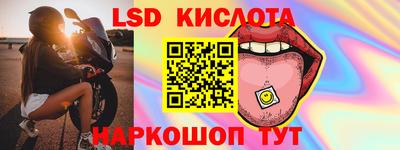 прущие грибы Гусиноозёрск