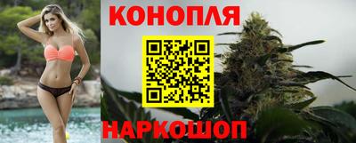 мяу мяу мука Славянск-на-Кубани