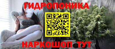 прущие грибы Гусиноозёрск