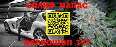 прущие грибы Гусиноозёрск