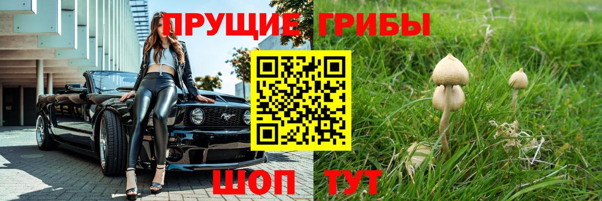Новокубанск  продажа наркотиков  Вход с VPN  Галлюциногенные грибы Magic Shrooms 