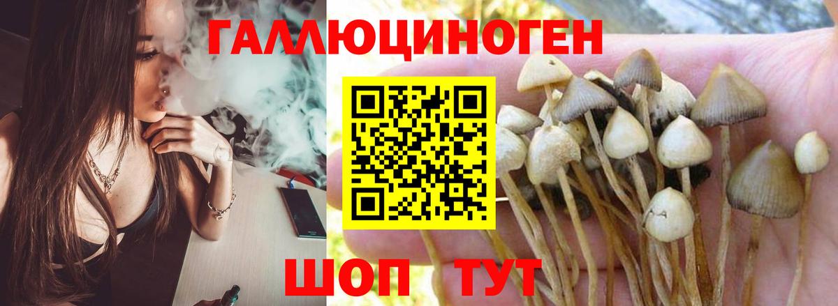 Галлюциногенные грибы MAGIC MUSHROOMS Новокубанск